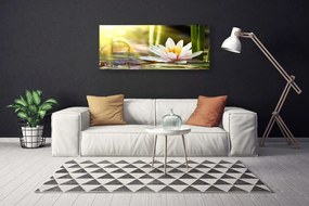 Fotoobraz na płótnie Pływająca Lilia Wodna