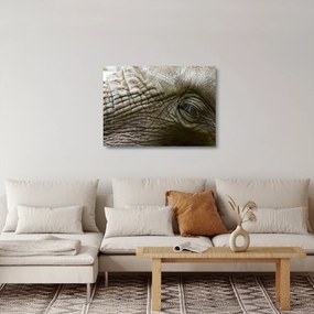 Obraz na szkle - Zbliżenie na stare oko słonia (70x50 cm)
