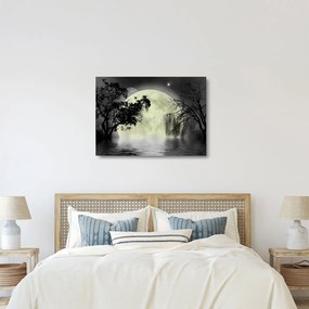 Obraz na szkle - Księżyc w pełni nad powierzchnią, wersja czarno - biała (70x50 cm)