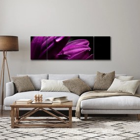 Obraz  - Kropla wody (170x50 cm)