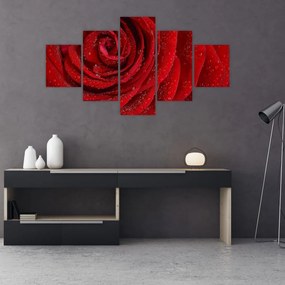 Obraz - szczegół róży (125x70 cm)
