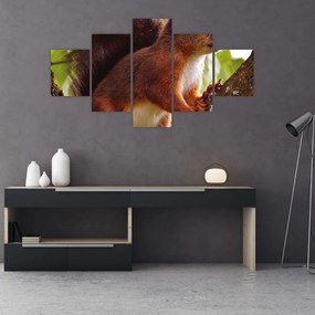 Obraz wiewiórki (125x70 cm)
