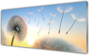 Panel Szklany Puszyste Parasolki Dmuchawca