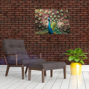 Obraz - Paw (70x50 cm)