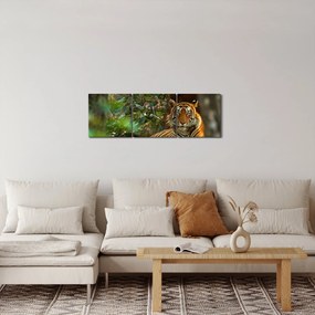 Obraz odpoczywającego tygrysa (z zegarem) (90x30 cm)