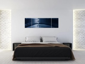 Obraz - Krople (170x50 cm)