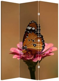 Parawan - Motyl na kwiatku (126x170 cm)