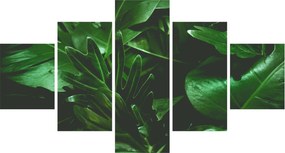 Obraz - Liście palmowe (125x70 cm)