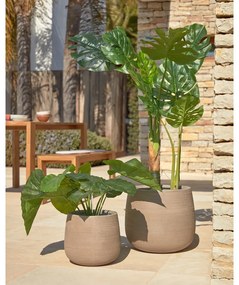 Sztuczna roślina (wysokość 57 cm) Odora – Kave Home