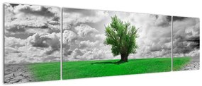 Obraz - Kawałek natury w mieście (170x50 cm)