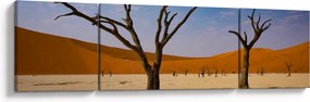Obraz - Dolina Śmierci (170x50 cm)