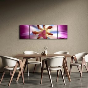 Obraz - Kwiat tulipana w szczegółach (170x50 cm)