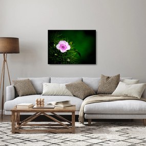 Obraz na szkle - kwiat róży (70x50 cm)