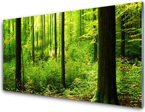 Szkło do Kuchni na Ścianę Gęsty Bór Liściasty