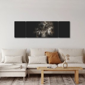 Obraz sowy (170x50 cm)