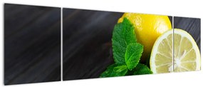 Obraz cytryn i mięty na stole (170x50 cm)