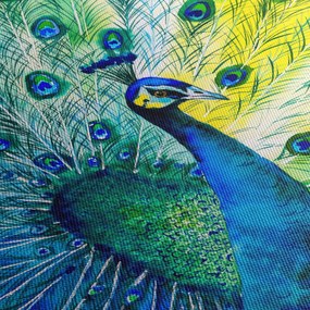 Obraz pawia (70x50 cm)