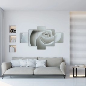 Obraz - Biała róża (125x70 cm)