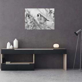 Obraz - Ptak zimą (70x50 cm)