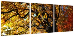 Obraz jesieni (z zegarem) (90x30 cm)