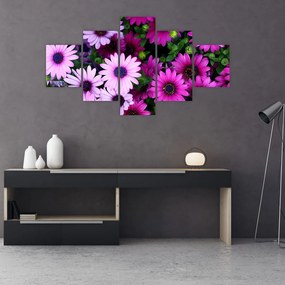 Obraz - Kwiaty (125x70 cm)
