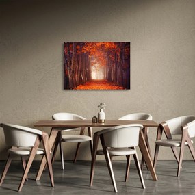 Obraz na szkle - Jesienny las (70x50 cm)
