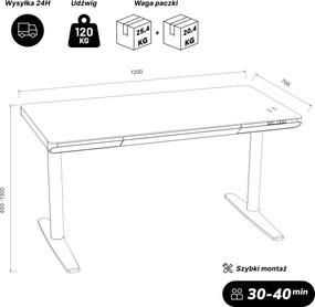 Biurko elektryczne sit-stand z szufladą i ładowarką bezprzewodową Qi czarne/orzech, 1200 mm: ELLIS