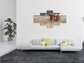 Obraz - Szkocka krowa w kwiatach (125x70 cm)