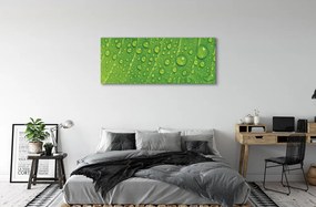 Zdjęcie na płótnie Makro Detal Liścia z Rosą