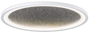 Brilliant - LED Plafon ściemnialny TANIDA LED/31W/230V 3000-6500K + pilot
