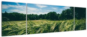 Obraz łąki i lasu (170x50 cm)