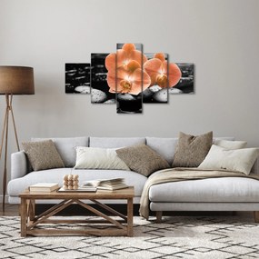 Obraz - Pomarańczowe orchidee (125x70 cm)