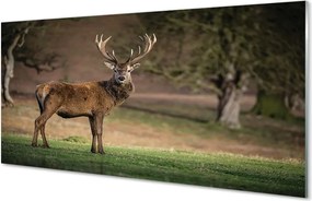 Panel nad Blat Kuchenny Spokój Jelenia na Polanie