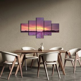 Obraz - Pole lawendy (125x70 cm)