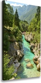Foto obraz canvas pionowy Potok górski