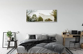 Obraz drukowany na płótnie Wilk w Zimowym Lesie