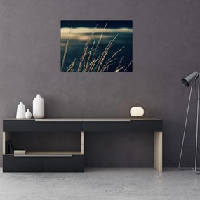 Obraz traw (70x50 cm)