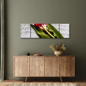 Obraz czerwonego tulipana (170x50 cm)