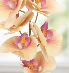 Storczyk w Doniczce Orchidea 37 cm Kwiat Sztuczny Żółty Doniczkowy Ozdobny