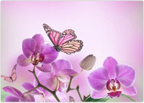 Obraz - Motyl na kwiatach orchidei, liliowy (70x50 cm)