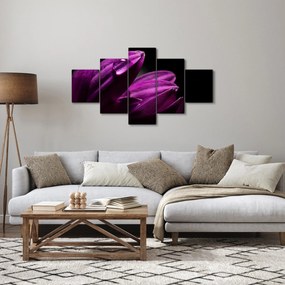 Obraz  - Kropla wody (125x70 cm)
