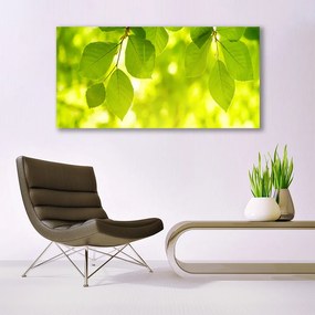 Obraz na płótnie Zielone Liście w Stylu Modern