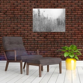 Obraz na szkle - Lawenda (70x50 cm)