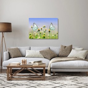Obraz na szkle motyli na kwiatku (70x50 cm)