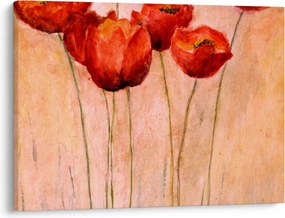 Obraz - Czerwone tulipany (70x50 cm)