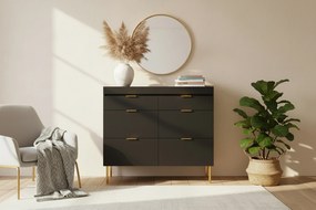 Komoda dwudrzwiowa Sentia 105 z dwoma szufladami - czarny / złoty