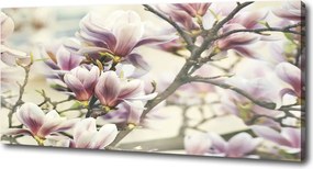 Foto obraz canvas Magnolia