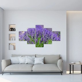 Obraz - lawenda (125x70 cm)