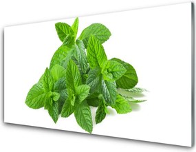 Panel Szklany Świeżość Liści Mięty