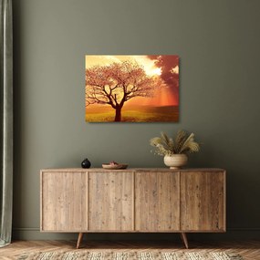 Obraz na szkle promieni Boga (70x50 cm)
